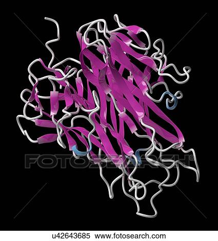 Stock Photography - Tumour necrosis factor alpha molecule. Fotosearch