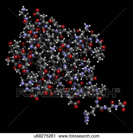 Ubiquitin molecule View Large Photo Image Stock Image - Ubiquitin molecule. Fotosearch