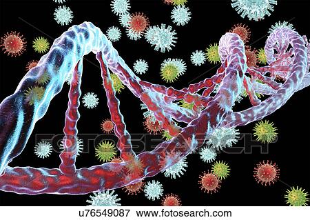 Viruses and DNA, illustration View Large Photo Image Stock Photo - Viruses and DNA, illustration. Fotosearch