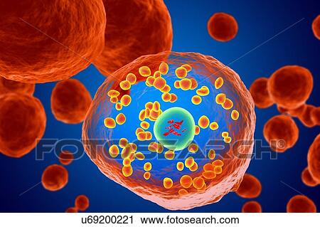 Stock Image - White blood cell (basophil), illustration. Fotosearch