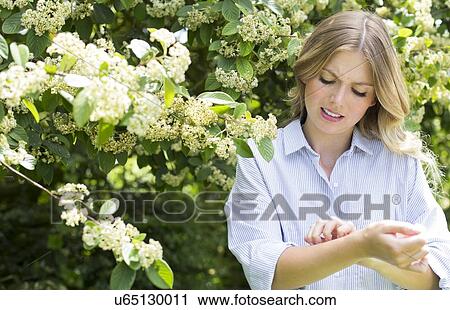 Woman by tree scratching arm View Large Photo Image Stock Image - Woman by tree scratching arm. Fotosearch