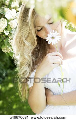Woman holding daisy View Large Photo Image Stock Image - Woman holding daisy. Fotosearch
