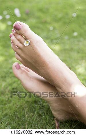 Stock Image - Woman on grass with daisy between toes. Fotosearch