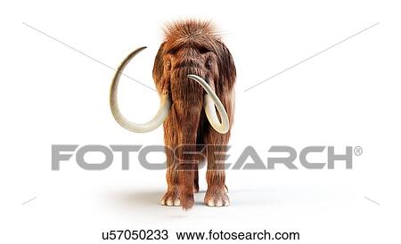 Stock Image - Woolly mammoth, illustration. Fotosearch
