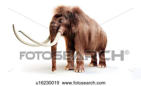 Stock Photo - Woolly mammoth, illustration. Fotosearch