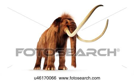 Woolly mammoth, illustration View Large Photo Image Stock Photograph - Woolly mammoth, illustration. Fotosearch