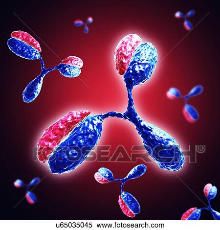 Stock Photography - Antibodies, illustration. Fotosearch