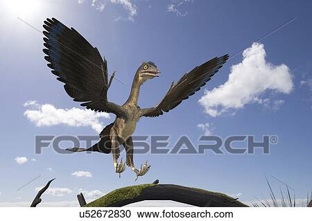 Stock Image - Archaeopteryx dinosaur, illustration. Fotosearch