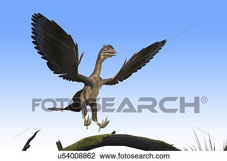 Stock Image - Archaeopteryx dinosaur, illustration. Fotosearch
