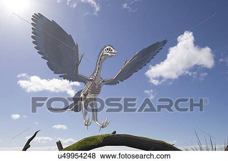 Archaeopteryx skeleton, illustration View Large Photo Image Stock Photo - Archaeopteryx skeleton, illustration. Fotosearch
