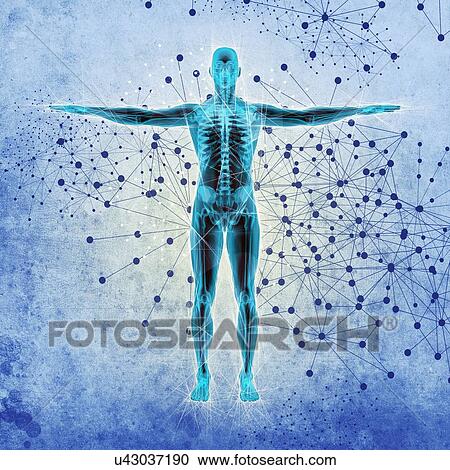 Stock Image - Atomic structure of the body, illustration. Fotosearch
