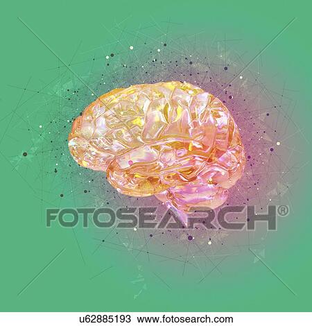 Stock Image - Atomic structure of the human brain, illustration. Fotosearch