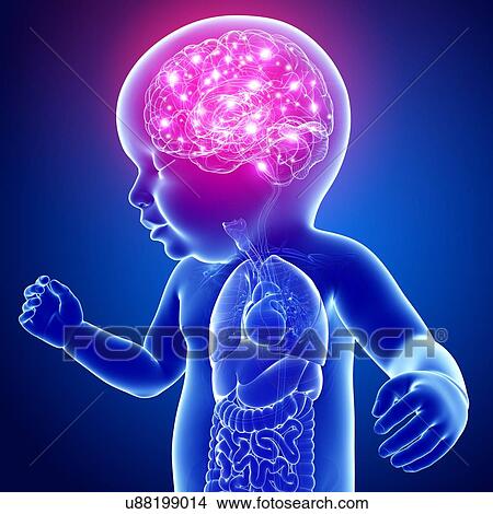 Baby's brain activity, illustration View Large Photo Image Picture - Baby's brain activity, illustration. Fotosearch
