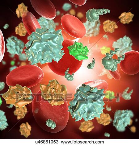 Bourbon viruses in the bloodstream, illustration View Large Photo Image Stock Image - Bourbon viruses in the bloodstream, illustration. Fotosearch