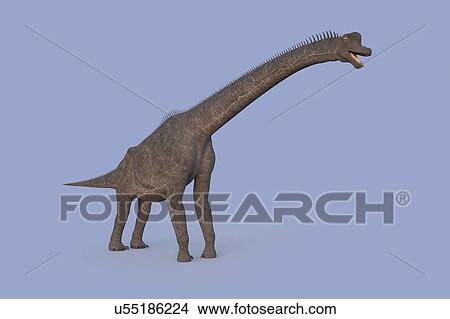 Picture - Brachiosaurus dinosaur, illustration. Fotosearch