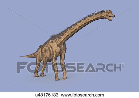 Stock Image - Brachiosaurus dinosaur, illustration. Fotosearch