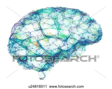Brain, neural network View Large Photo Image Stock Image - Brain, neural network. Fotosearch
