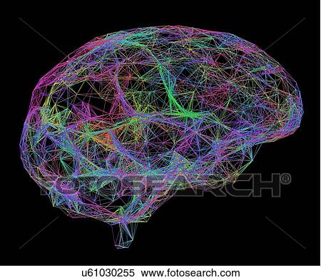 Brain, neural network View Large Photo Image Stock Photography - Brain, neural network. Fotosearch