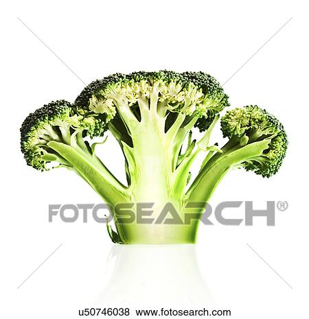 Stock Photo - Broccoli against white background. Fotosearch
