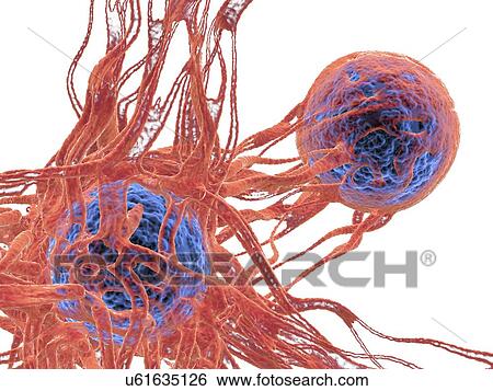 Cancer cell, illustration View Large Photo Image Stock Photograph - Cancer cell, illustration. Fotosearch