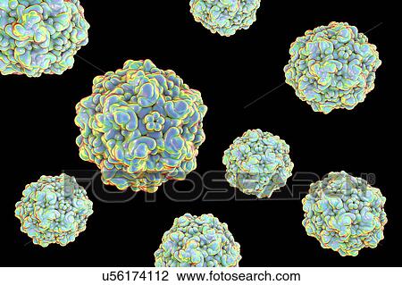 Canine parvovirus, illustration View Large Photo Image Stock Image - Canine parvovirus, illustration. Fotosearch