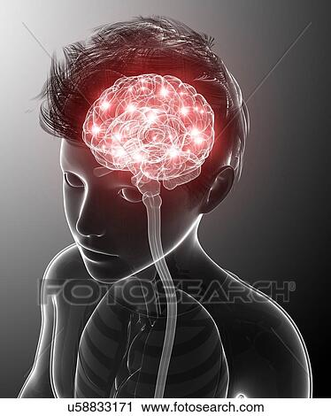 Child's brain activity, illustration View Large Photo Image Stock Image - Child's brain activity, illustration. Fotosearch