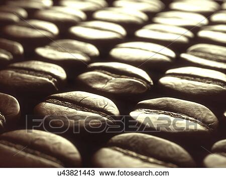 Stock Image - Coffee beans, close up. Fotosearch