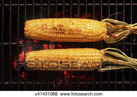 Stock Photo - Corn on the cob on barbecue. Fotosearch