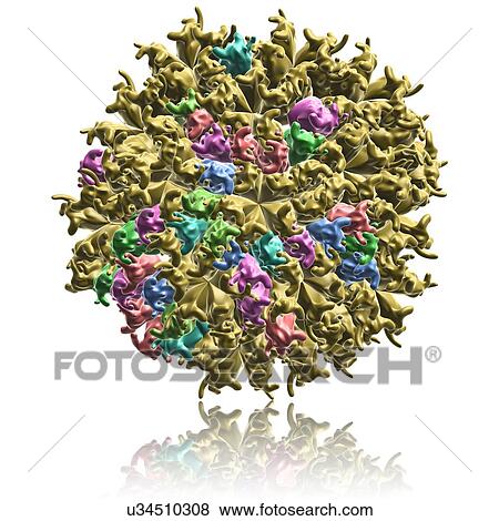 Cucumber mosaic virus particle, illustration View Large Photo Image Stock Photo - Cucumber mosaic virus particle, illustration. Fotosearch