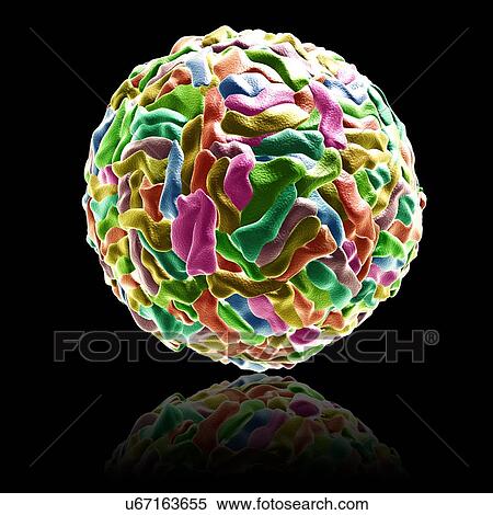 Stock Photography - Dengue virus particle, illustration. Fotosearch
