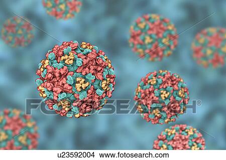 Picture - Eastern equine encephalitis virus, illustration. Fotosearch