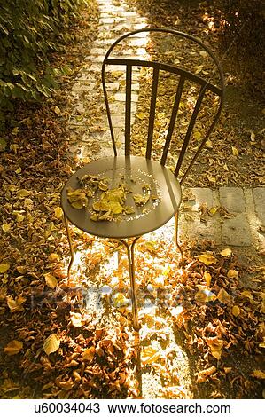Stock Image - Empty chair and autumn leaves. Fotosearch