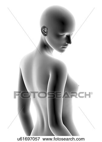 Female body, artwork View Large Photo Image Stock Photo - Female body, artwork. Fotosearch