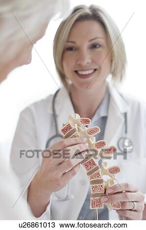 Stock Image - Female doctor holding anatomical model. Fotosearch