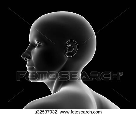 Stock Image - Female head, artwork. Fotosearch
