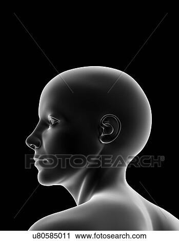 Female head, artwork View Large Photo Image Stock Image - Female head, artwork. Fotosearch