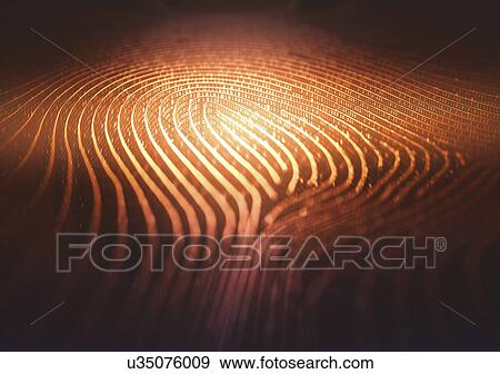 Fingerprint shape in binary code, illustration View Large Photo Image Stock Photo - Fingerprint shape in binary code, illustration. Fotosearch