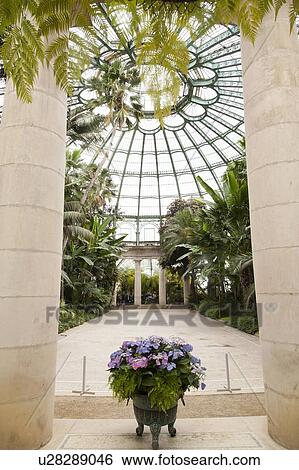 Stock Photograph - Green house with palms. Fotosearch