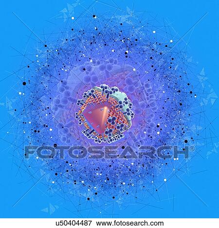 Stock Photo - HIV virus, illustration. Fotosearch