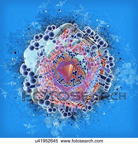Stock Photography - HIV virus, illustration. Fotosearch
