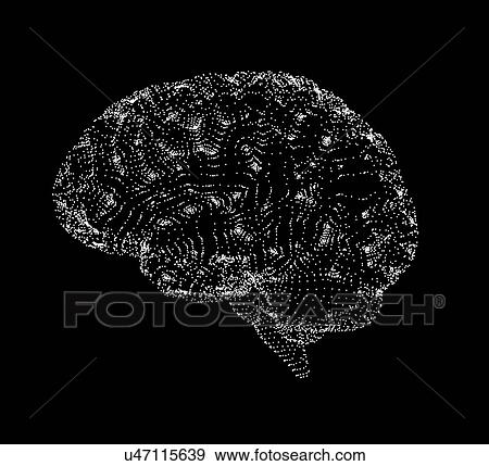 Human brain, conceptual artwork View Large Photo Image Stock Photo - Human brain, conceptual artwork. Fotosearch