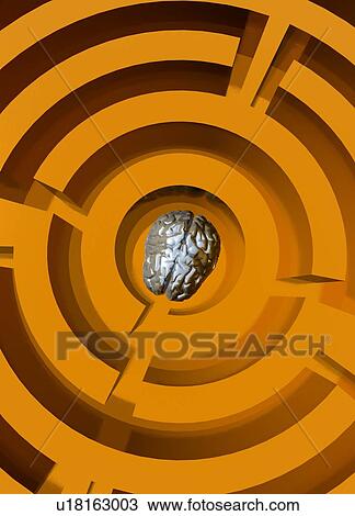 Stock Image - Human brain in maze. Fotosearch
