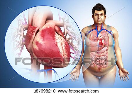 Male heart, illustration View Large Photo Image Stock Image - Male heart, illustration. Fotosearch