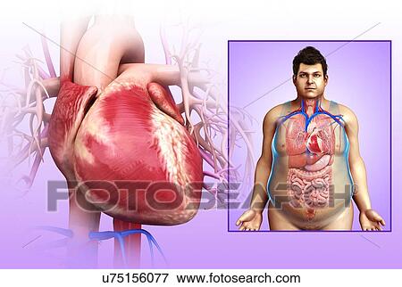 Male heart, illustration View Large Photo Image Stock Photo - Male heart, illustration. Fotosearch