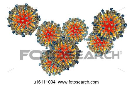 Picture - Measles virus, illustration. Fotosearch