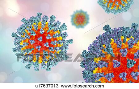 Measles virus, illustration View Large Photo Image Stock Image - Measles virus, illustration. Fotosearch