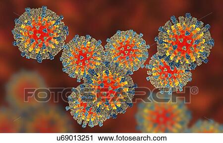 Stock Image - Measles virus, illustration. Fotosearch