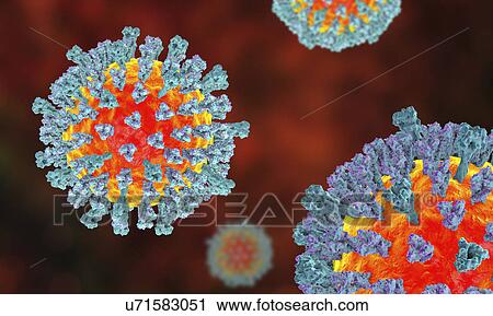 Measles virus, illustration View Large Photo Image Stock Image - Measles virus, illustration. Fotosearch