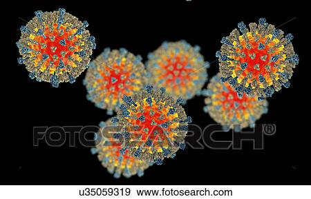 Stock Photo - Measles virus, illustration. Fotosearch