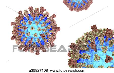 Stock Photo - Measles virus, illustration. Fotosearch
